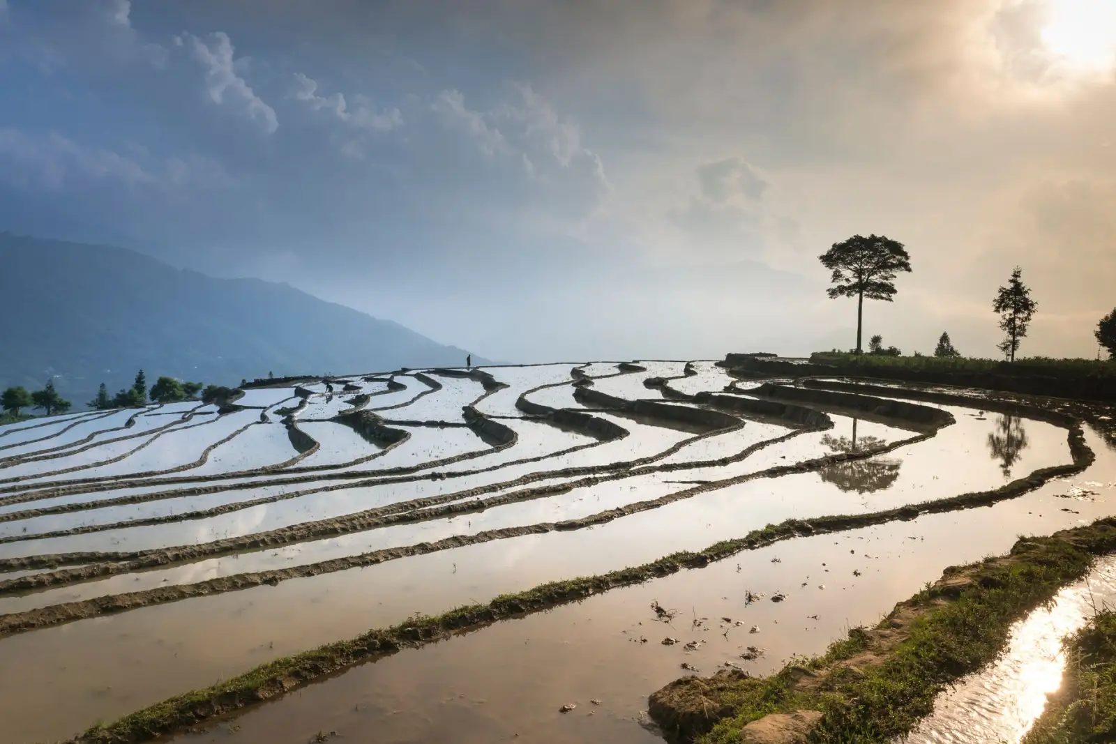 北京地区企业打印机硒鼓与墨盒选型指南：如何匹配办公场景需求