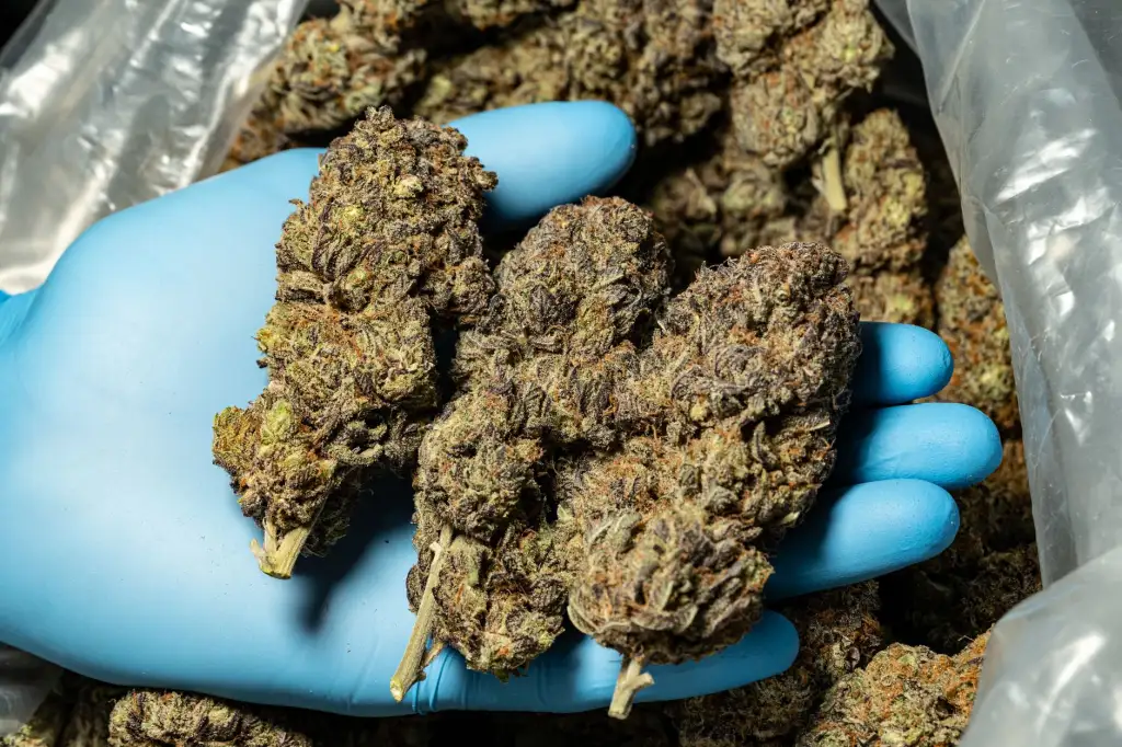 北京美特易科技打印机硒鼓与墨盒产品参数对比分析